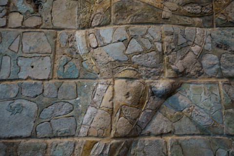 Paris, Musée du Louvre, Frise des lions (détail)