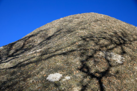 france, région Bretagne, Côtes d'Armor, côte de granit rose, Ploumanac'h, les rochers