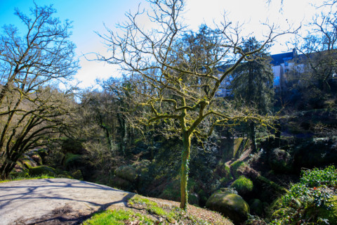 FRance, région Bretagne, Finistère, Huelgoat, les rochers, cahos de huelgoat,