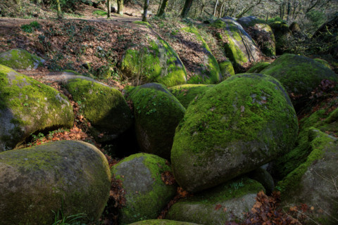FRance, région Bretagne, Finistère, Huelgoat, les rochers, cahos de huelgoat,