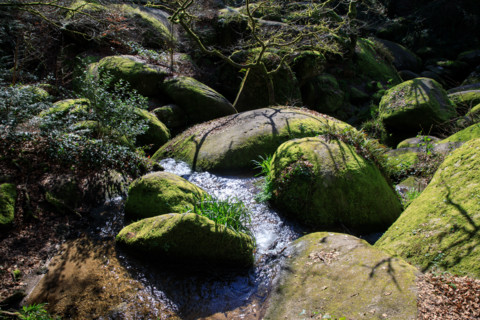 FRance, région Bretagne, Finistère, Huelgoat, les rochers, cahos de huelgoat,