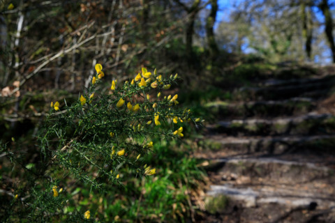FRance, région Bretagne, Finistère, Huelgoat, les rochers, cahos de huelgoat,