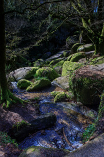 FRance, région Bretagne, Finistère, Huelgoat, les rochers, cahos de huelgoat,