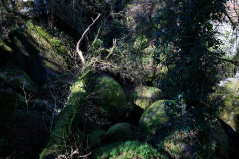 FRance, région Bretagne, Finistère, Huelgoat, les rochers, cahos de huelgoat,