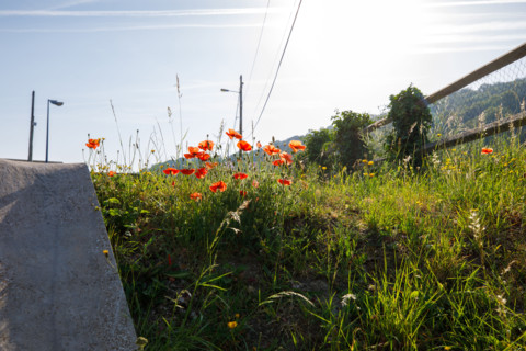 Dives-sur-Mer, France