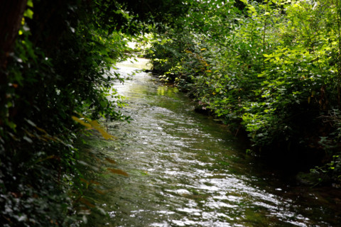 Cany-Barville, France