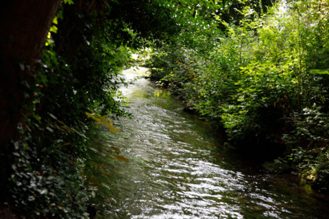 Cany-Barville, France