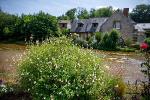 Veules-les-Roses, France