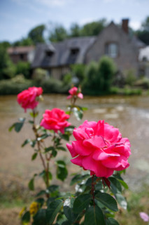Veules-les-Roses, France