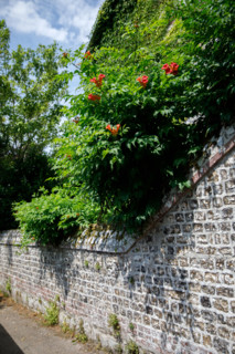 Veules-les-Roses, France