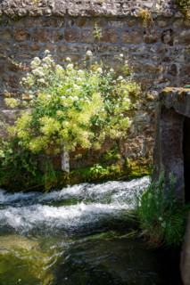 Veules-les-Roses, France