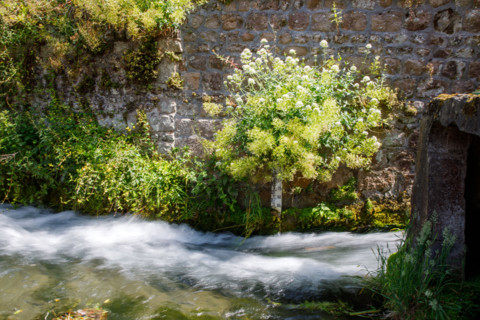Veules-les-Roses, France