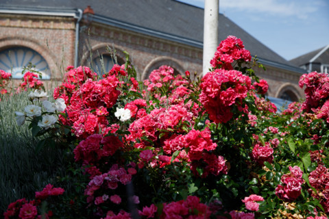 Veules-les-Roses, France