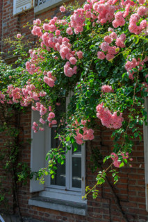 Veules-les-Roses, France