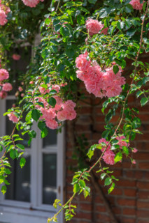 Veules-les-Roses, France