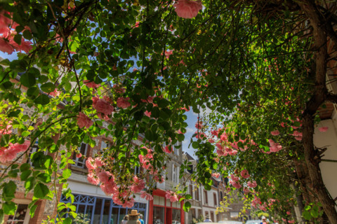 Veules-les-Roses, France