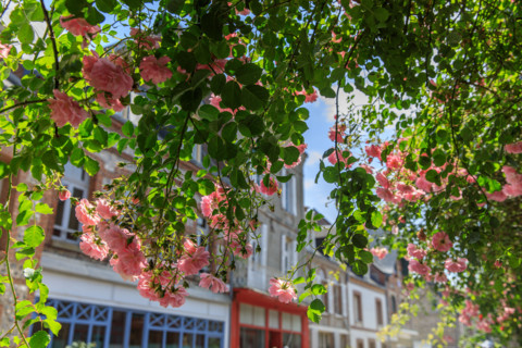 Veules-les-Roses, France