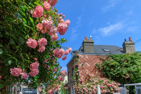 Veules-les-Roses, France
