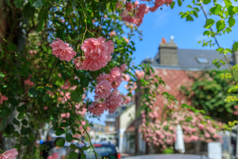 Veules-les-Roses, France
