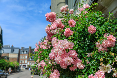 Veules-les-Roses, France