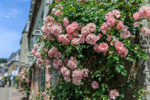 Veules-les-Roses, France