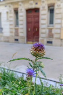 Paris, France