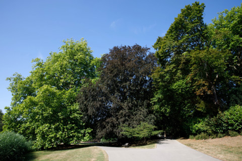 Roubaix, France