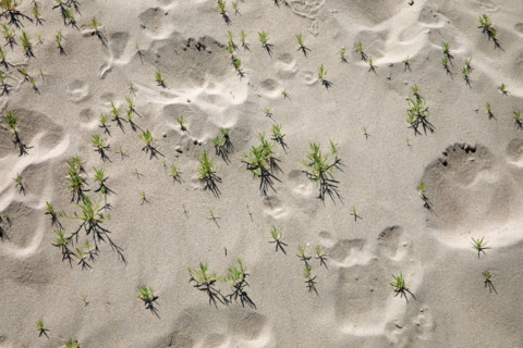 LeTouquet Paris-Plage, France