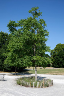 Roubaix, France