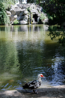 Valenciennes, France
