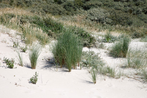LeTouquet Paris-Plage, France