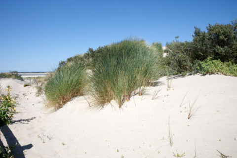 LeTouquet Paris-Plage, France
