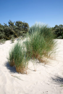 LeTouquet Paris-Plage, France