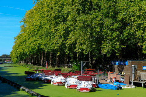Grande braderie de Lille 2026