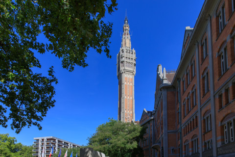 Grande braderie de Lille 2026
