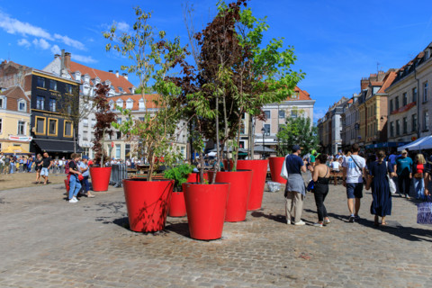 Grande braderie de Lille 2026