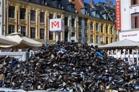 Grande braderie de Lille 2026