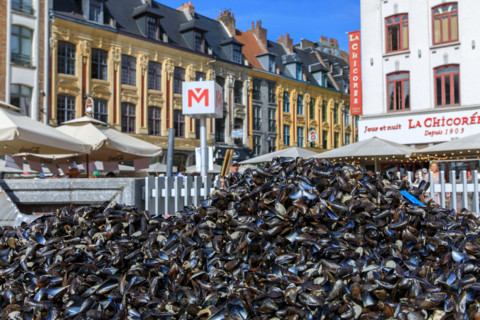 Grande braderie de Lille 2026