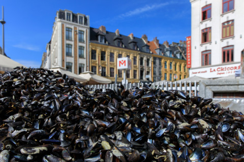 Grande braderie de Lille 2026