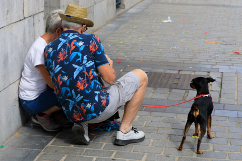 Grande braderie de Lille 2026
