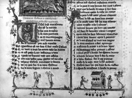 Bateleurs