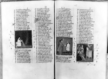 Pages du Roman de la Rose