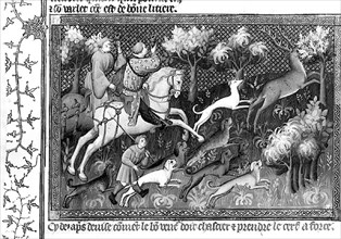 La chasse au cerf.