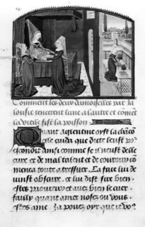 Roman de la Violette - Levé d'une dame de qualité