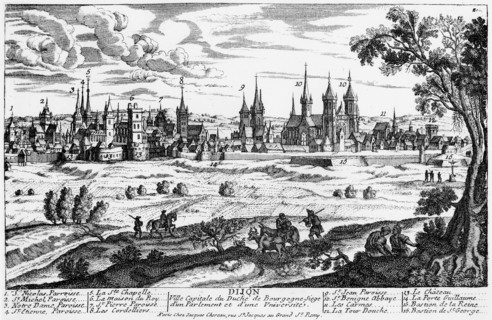 View of the town of Dijon -