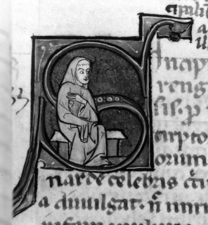 Manuscript of the "Solitudo", detail