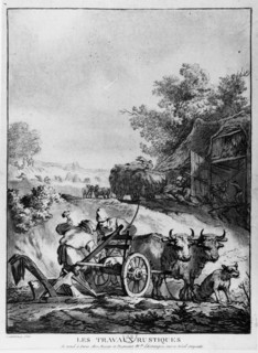 Life of the peasants.  Agricultural work.