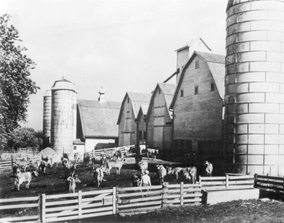 The United States.  A modern dairy farm in Iowa (the Fifties).