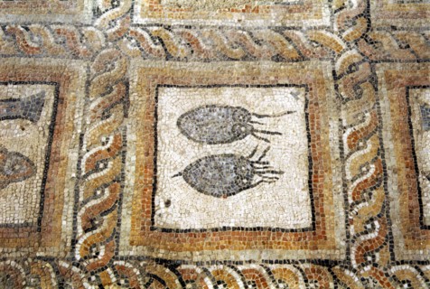 Maison romaine (Montcaret), Caldarium, détail