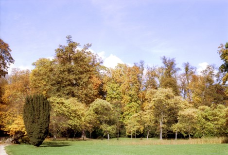 Versailles, parc du Petit Trianon en automne